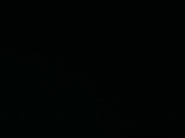 Im Brian👋
