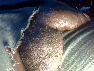GIANT  Lamar  7''2 ft  tall  with a  10 inches  BBC  ( hard) quick cumshot in pr