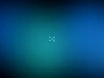 Fly
