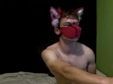Harimiau