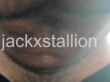 jackxstallion