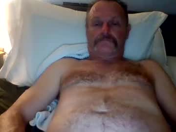 steviehard8