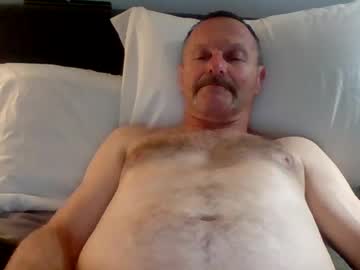 steviehard8