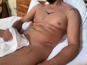 TigreAnimal