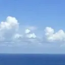 scooptube