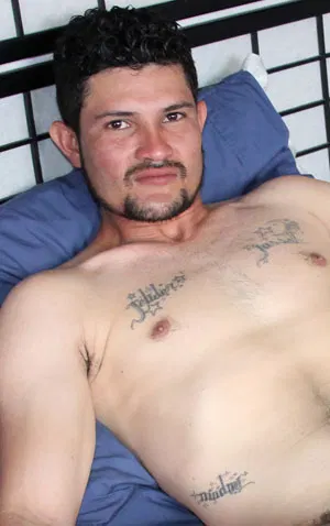 Carle