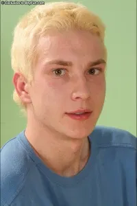 Vin