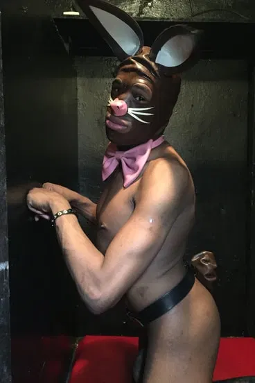 Bunny Boy