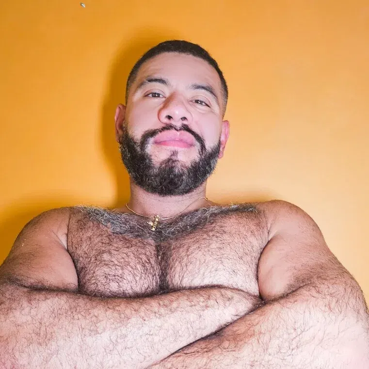 Nico Bear