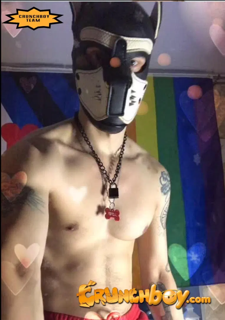 DoyRaboMad Puppy