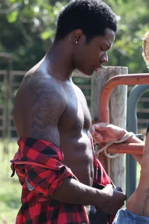 Bama Romello