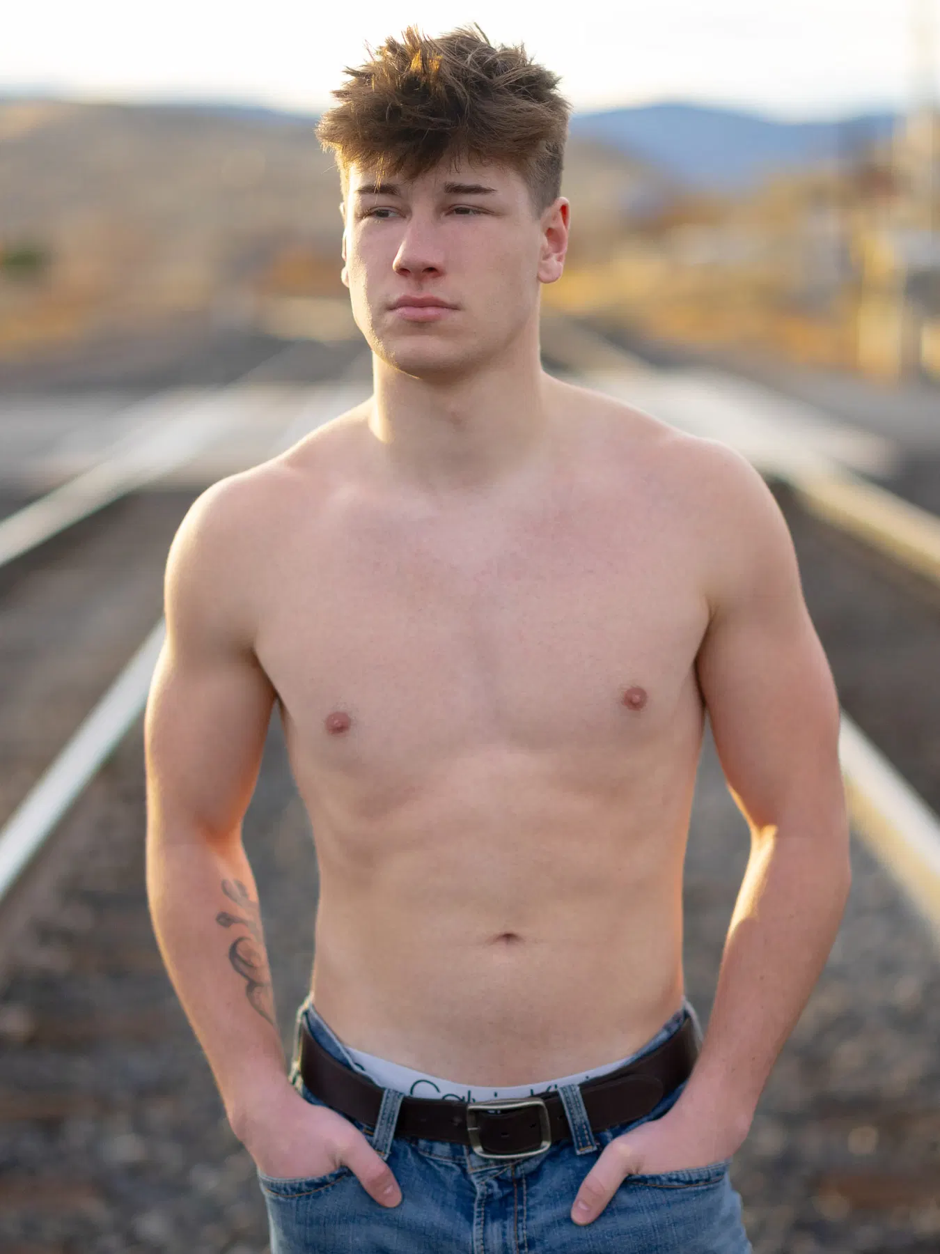 Brick