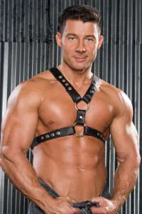 Robert Van Damme