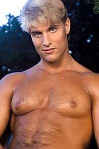 Steve Fox