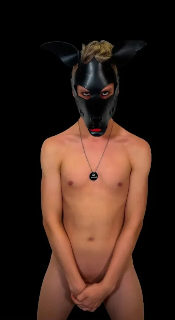 Pup Anubis